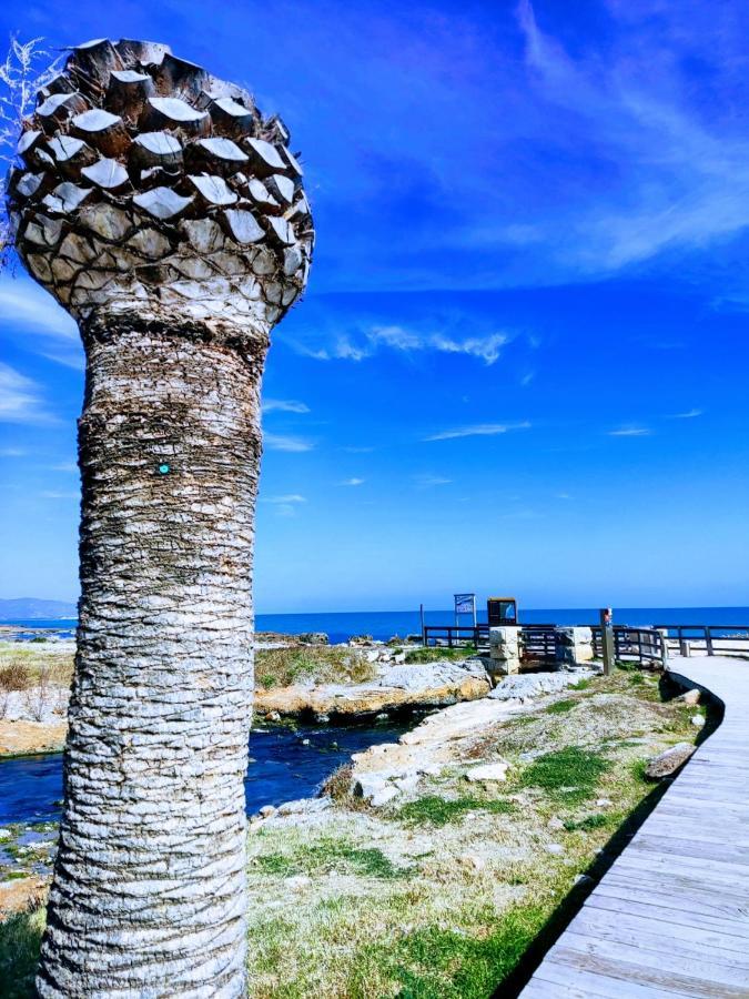 Apartamento Acogedor En Cabanes, Torre La Sal, Costamar I Marina D'Or Venta de San Antonio-Estacion المظهر الخارجي الصورة